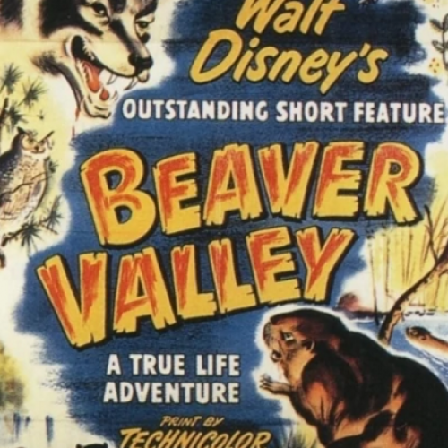 Beaver Valley