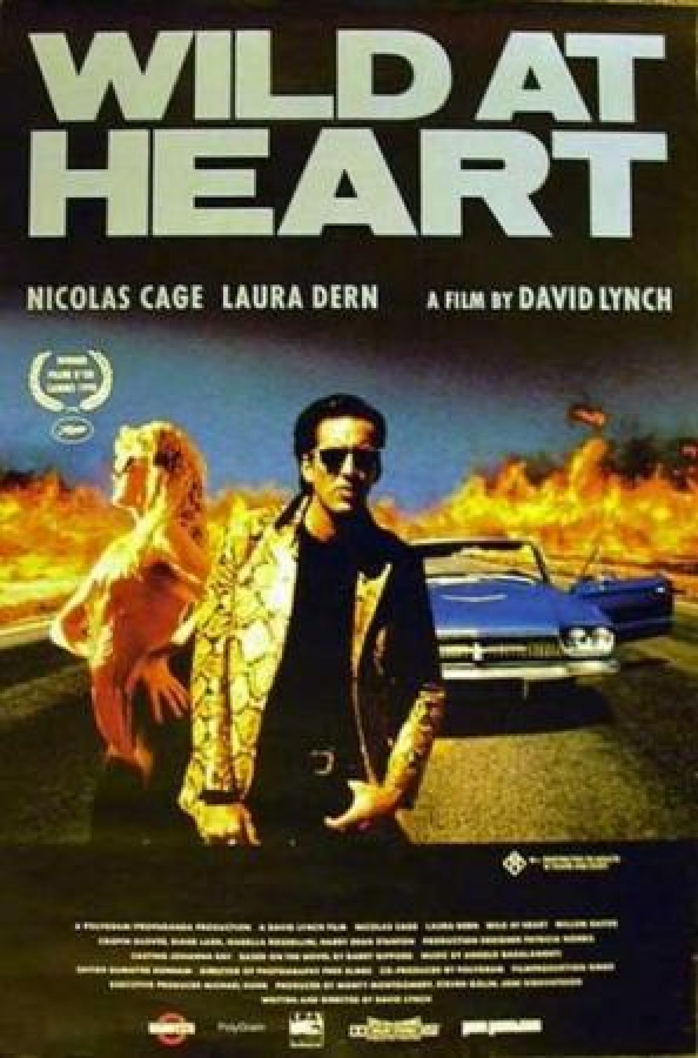 wild at heart movie meaning