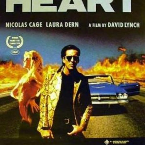 Wild at Heart